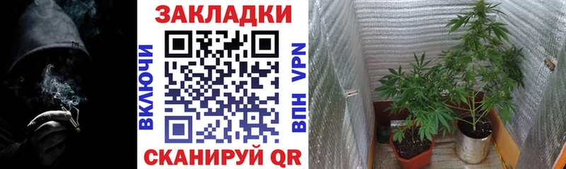 Купить наркоту Светлогорск Галлюциногенные грибы  АМФ  Кокаин  МЕФ  Вейп ТГК  ГАШИШ  Канабис 