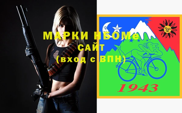 крисы Богородицк