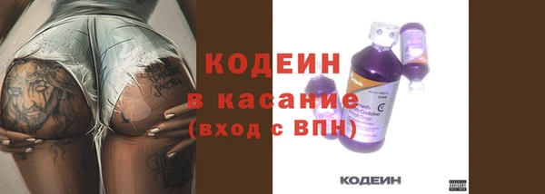 крисы Богородицк