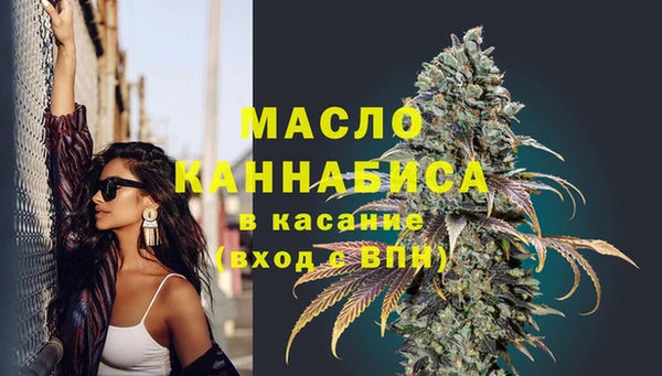 крисы Богородицк