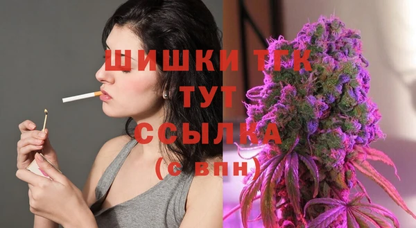 крисы Богородицк